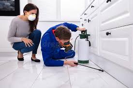 Best Residential Pest Control  in Kentland, IN